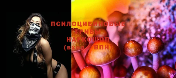 ГАЛЛЮЦИНОГЕННЫЕ ГРИБЫ Покровск