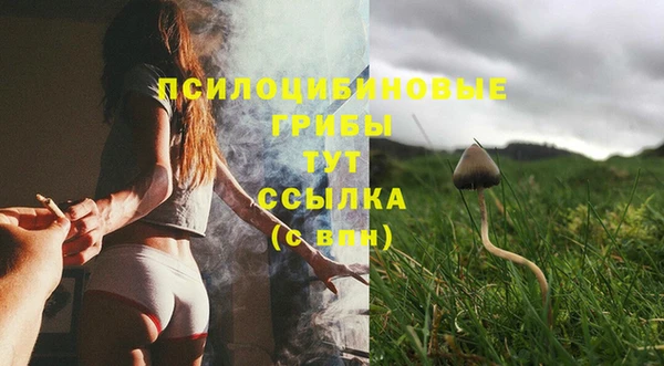 ГАЛЛЮЦИНОГЕННЫЕ ГРИБЫ Покровск