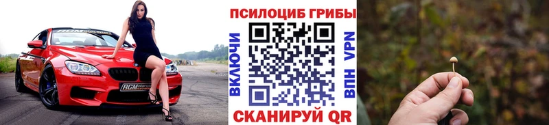 Галлюциногенные грибы прущие грибы  продажа наркотиков  Калининград 