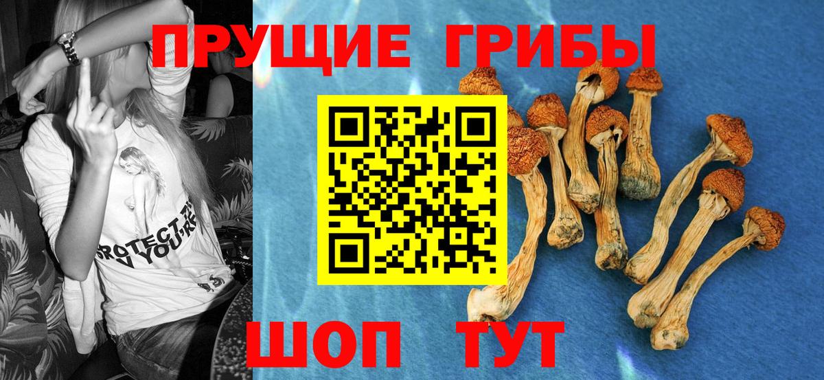 Калининград  Галлюциногенные грибы ЛСД  Вход с VPN 