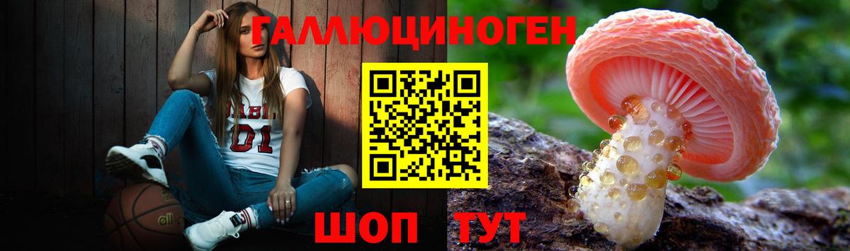 Псилоцибиновые грибы MAGIC MUSHROOMS  даркнет сайт  Калининград 